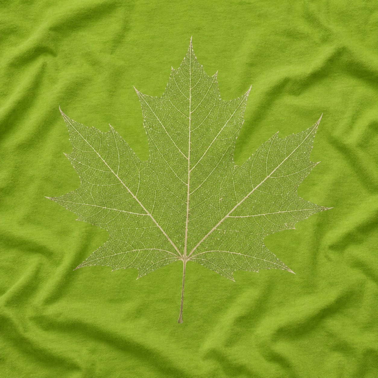 Skeleton Sugar Maple Leaf T‑Shirt