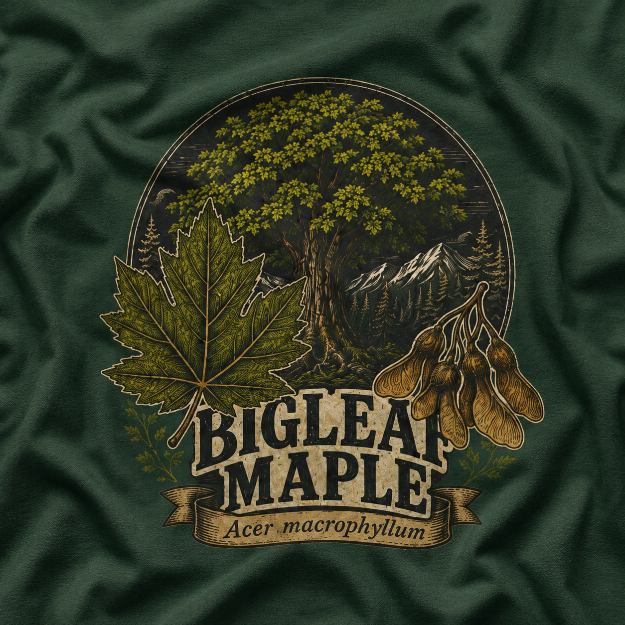 Bigleaf Maple, Acer macrophyllum T‑Shirt