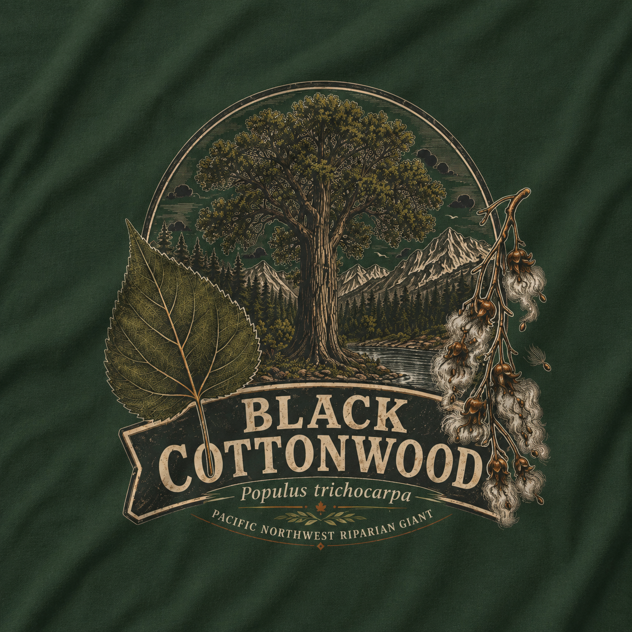 Black Cottonwood, Populus trichocarpa T‑Shirt