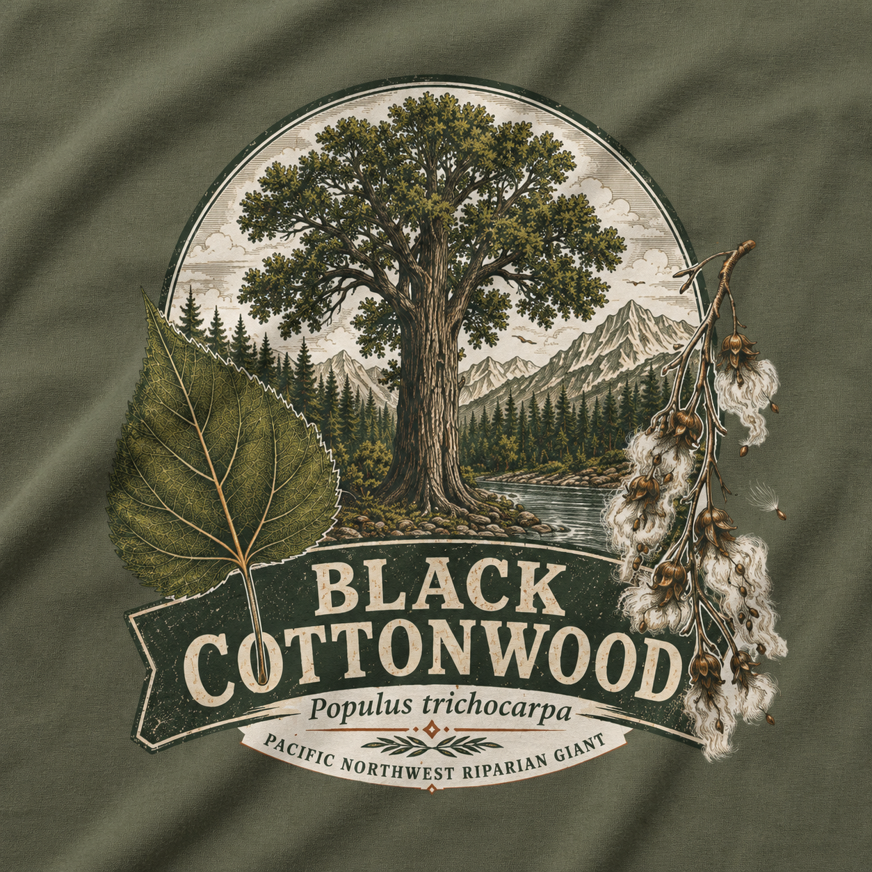 Black Cottonwood, Populus trichocarpa T‑Shirt