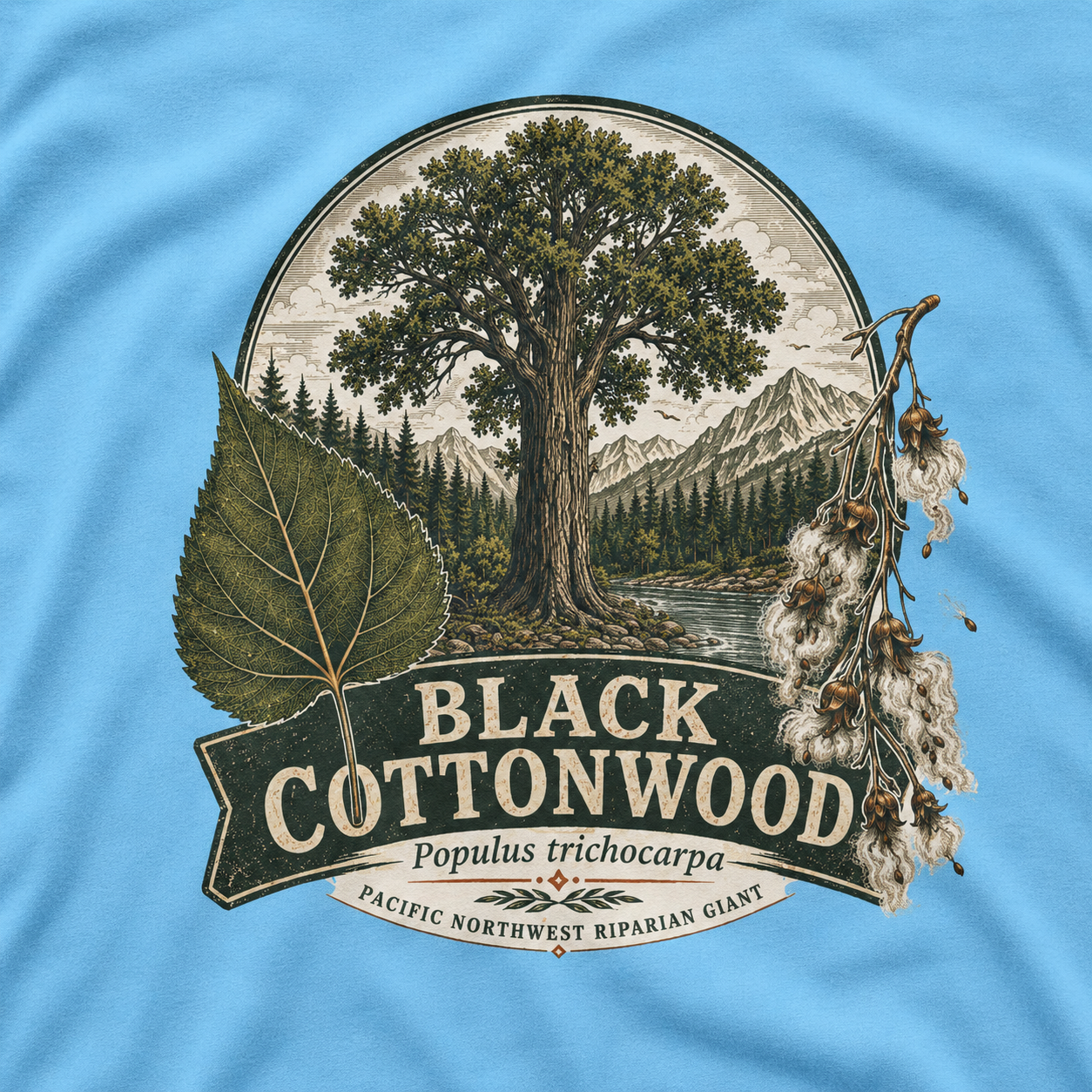 Black Cottonwood, Populus trichocarpa T‑Shirt