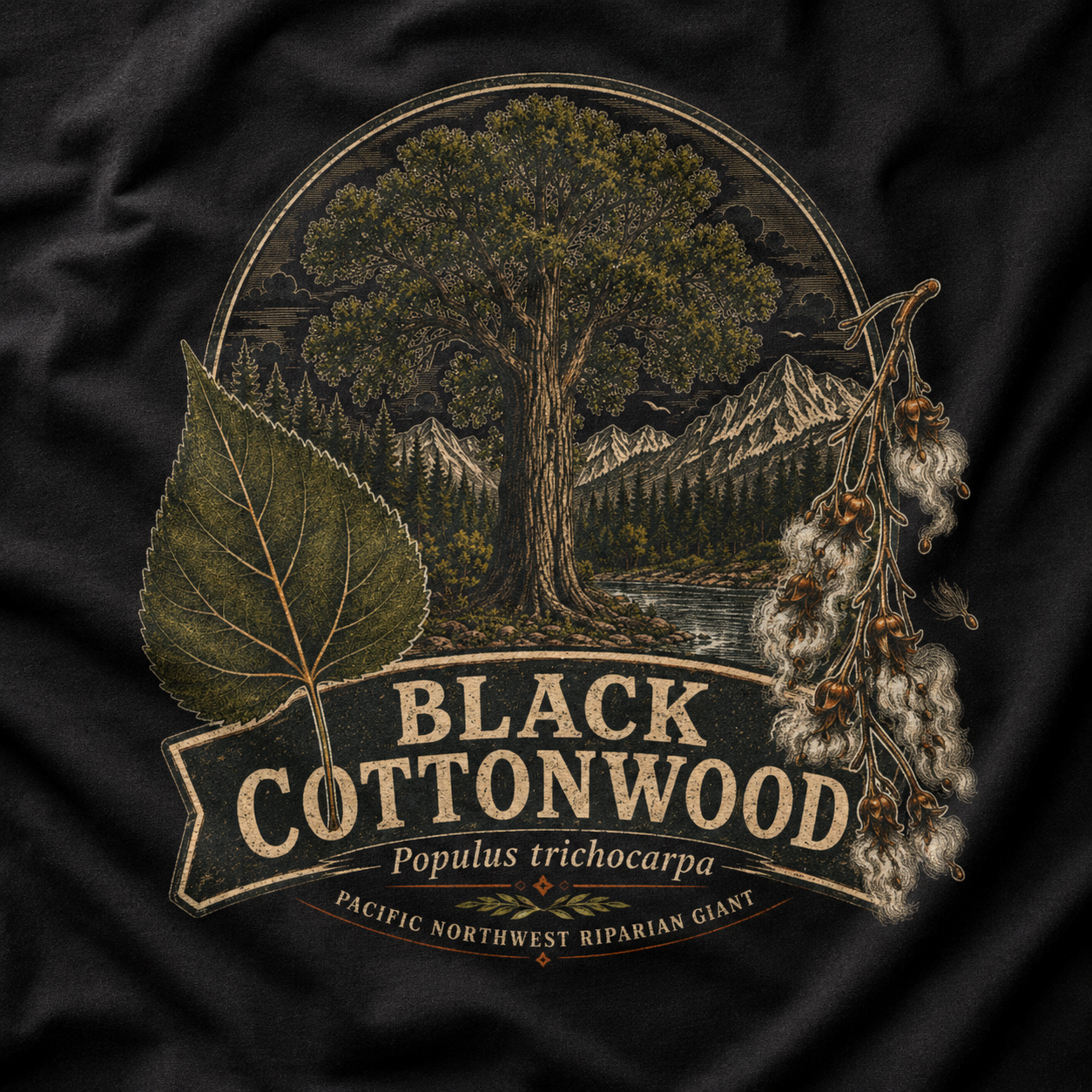 Black Cottonwood, Populus trichocarpa T‑Shirt
