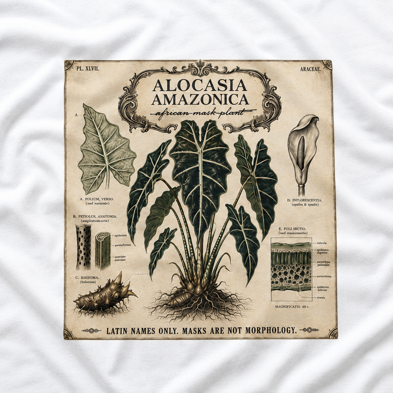 Latin Names Only. Masks Are Not Morphology. Alocasia amazonica, African Mask Plant T‑Shirt