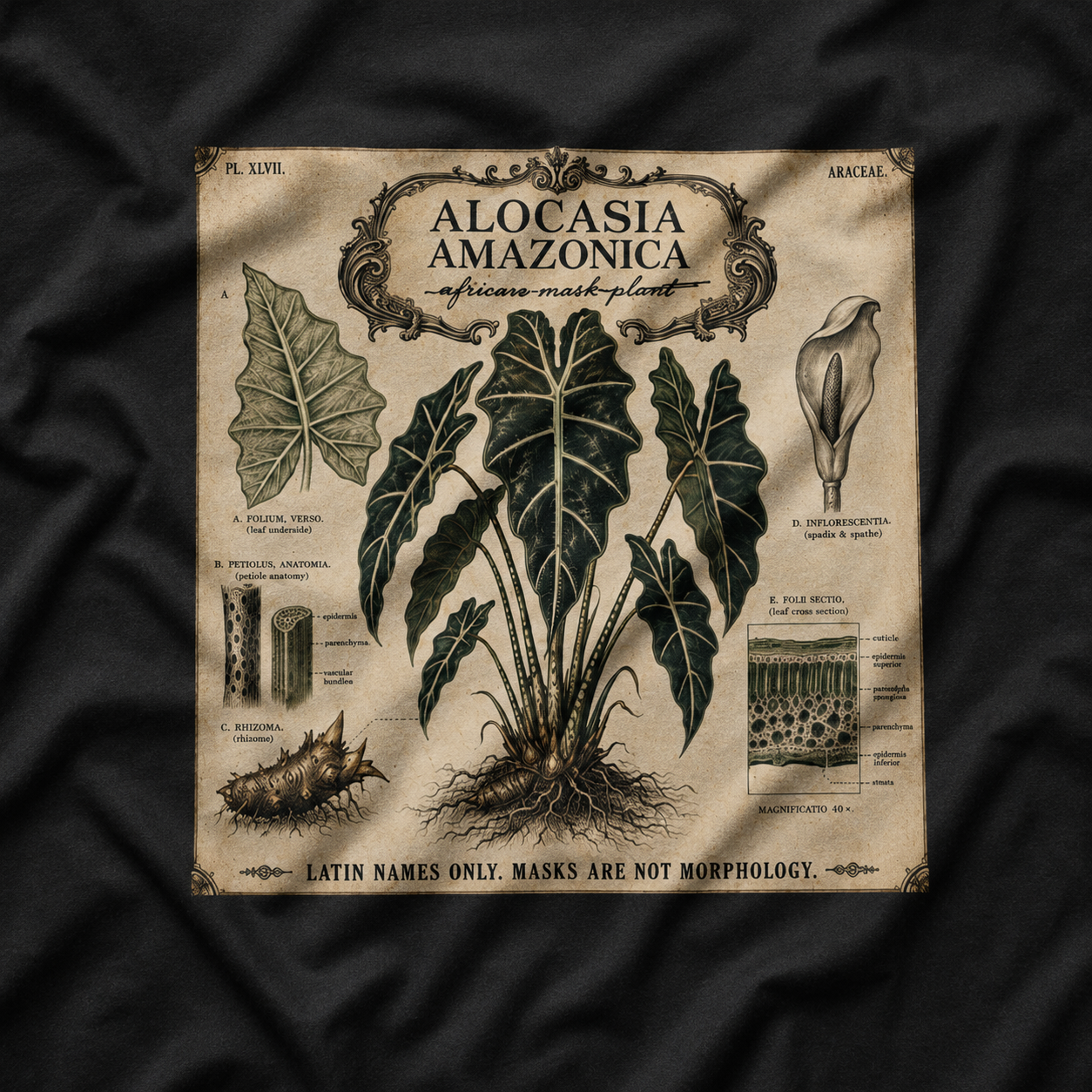 Latin Names Only. Masks Are Not Morphology. Alocasia amazonica, African Mask Plant T‑Shirt