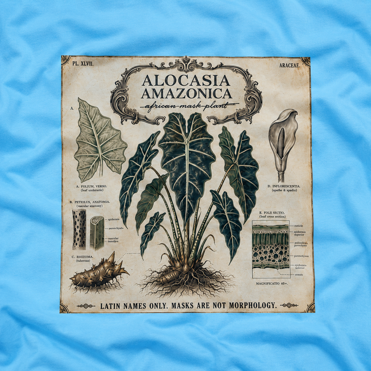 Latin Names Only. Masks Are Not Morphology. Alocasia amazonica, African Mask Plant T‑Shirt