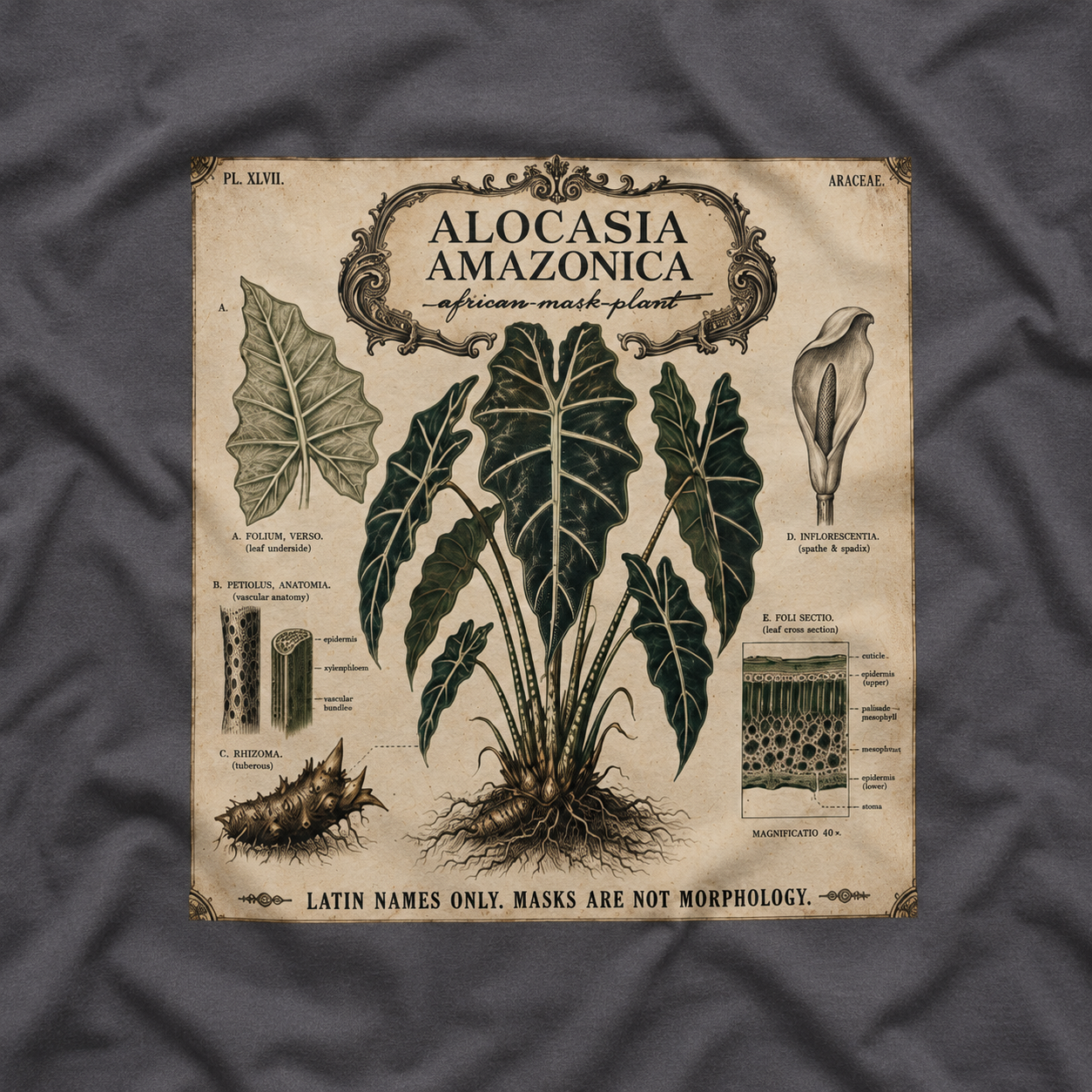 Latin Names Only. Masks Are Not Morphology. Alocasia amazonica, African Mask Plant T‑Shirt