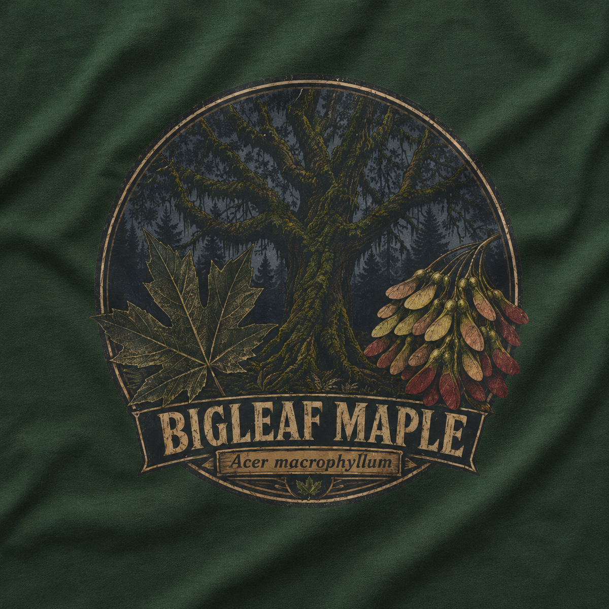 Bigleaf Maple, Acer macrophyllum T‑Shirt