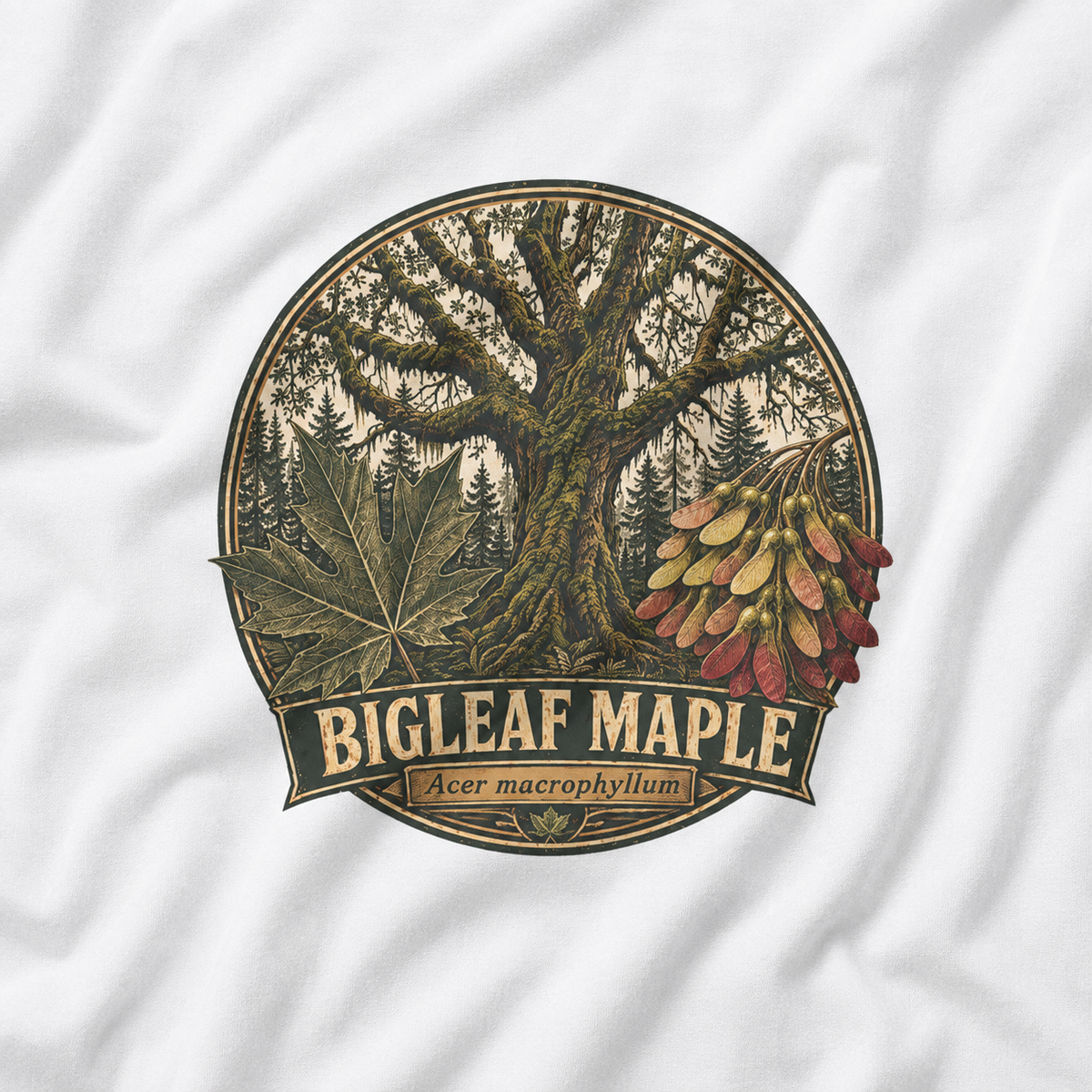 Bigleaf Maple, Acer macrophyllum T‑Shirt