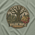 Bigleaf Maple, Acer macrophyllum T‑Shirt