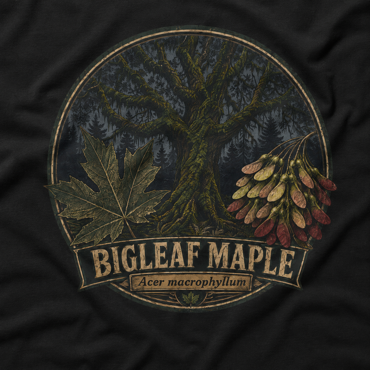 Bigleaf Maple, Acer macrophyllum T‑Shirt