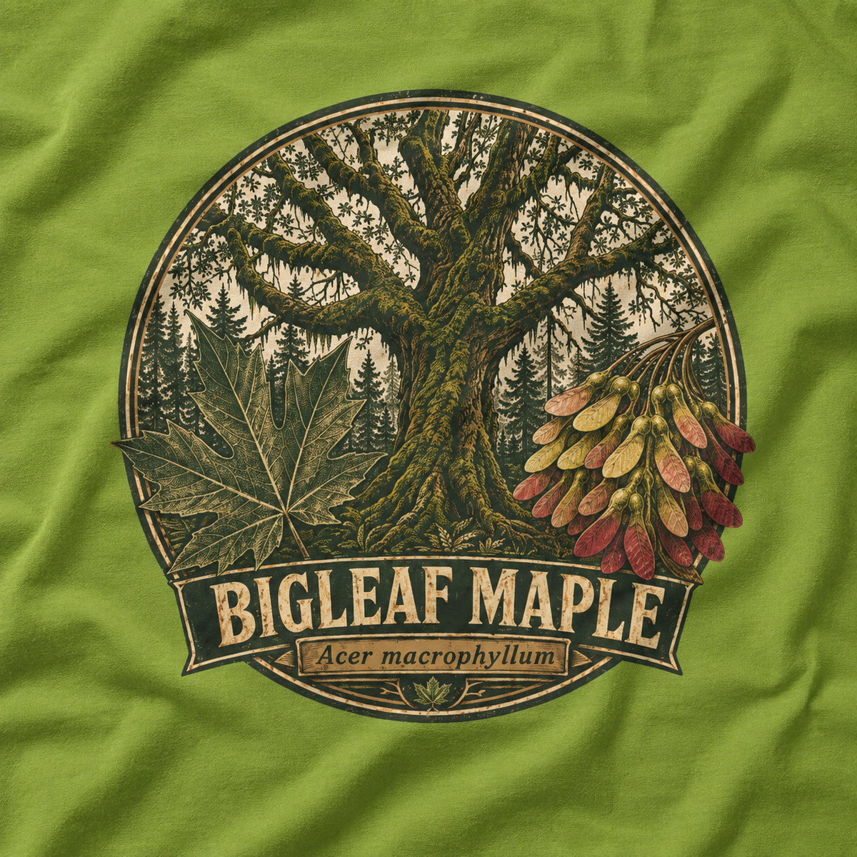 Bigleaf Maple, Acer macrophyllum T‑Shirt