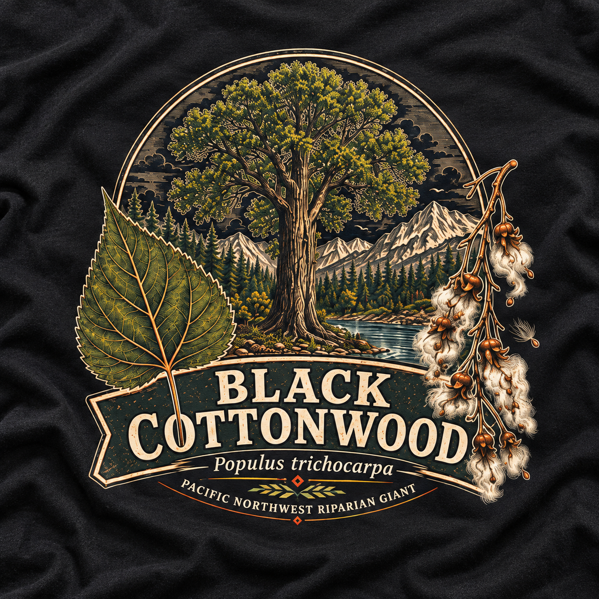 Black Cottonwood, Populus trichocarpa T‑Shirt