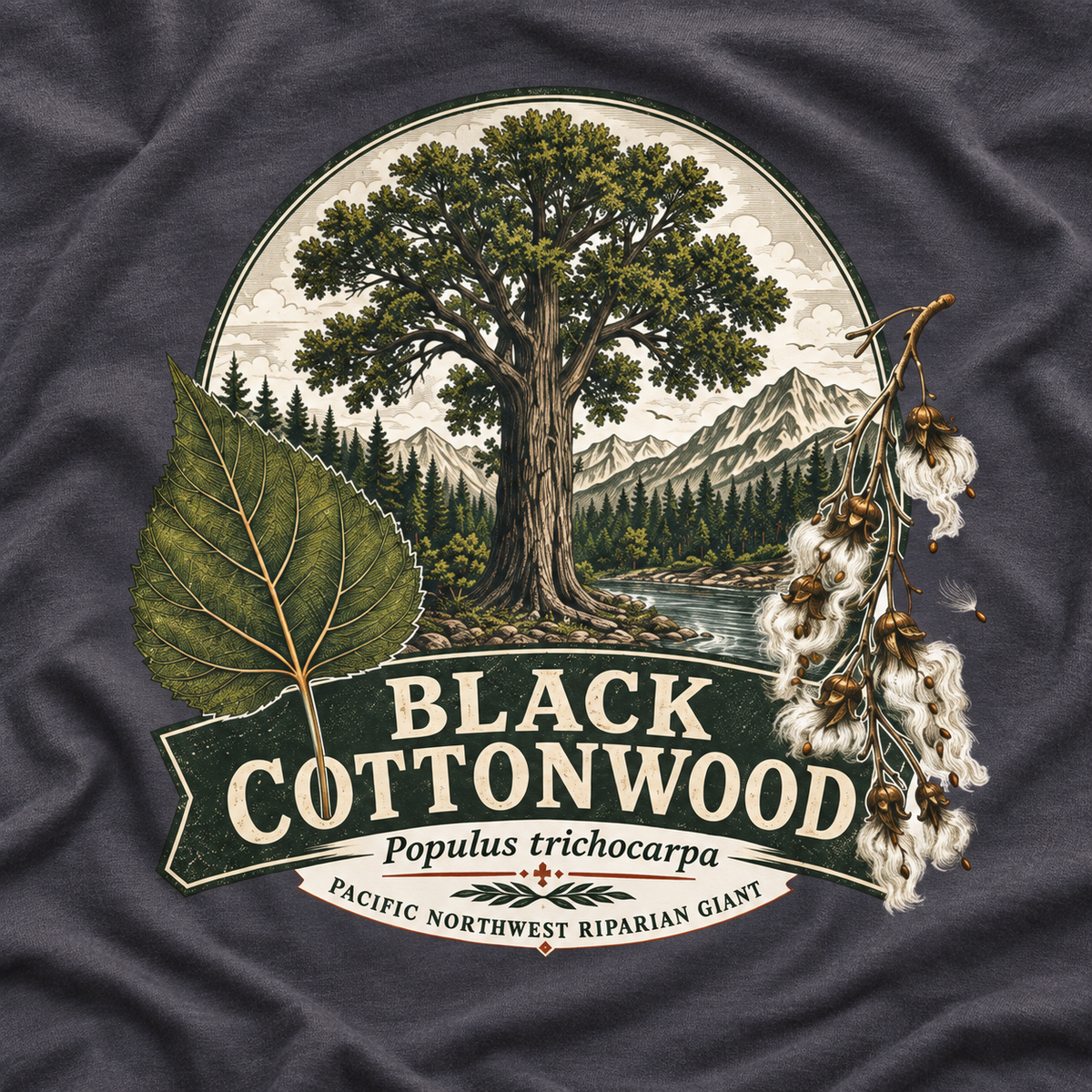Black Cottonwood, Populus trichocarpa T‑Shirt