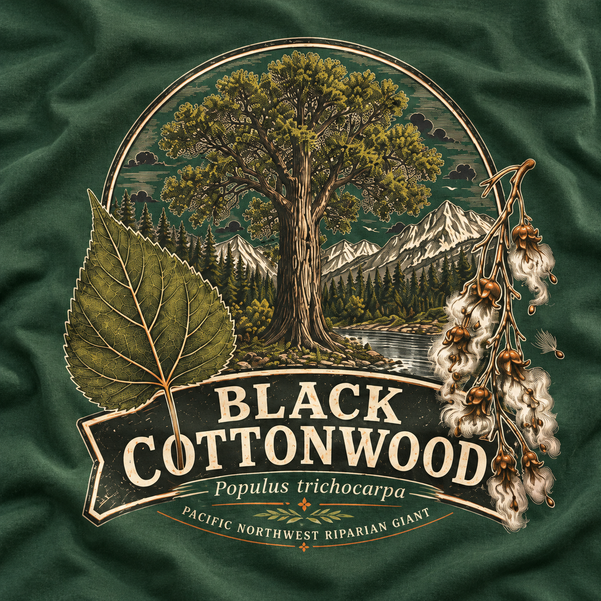 Black Cottonwood, Populus trichocarpa T‑Shirt