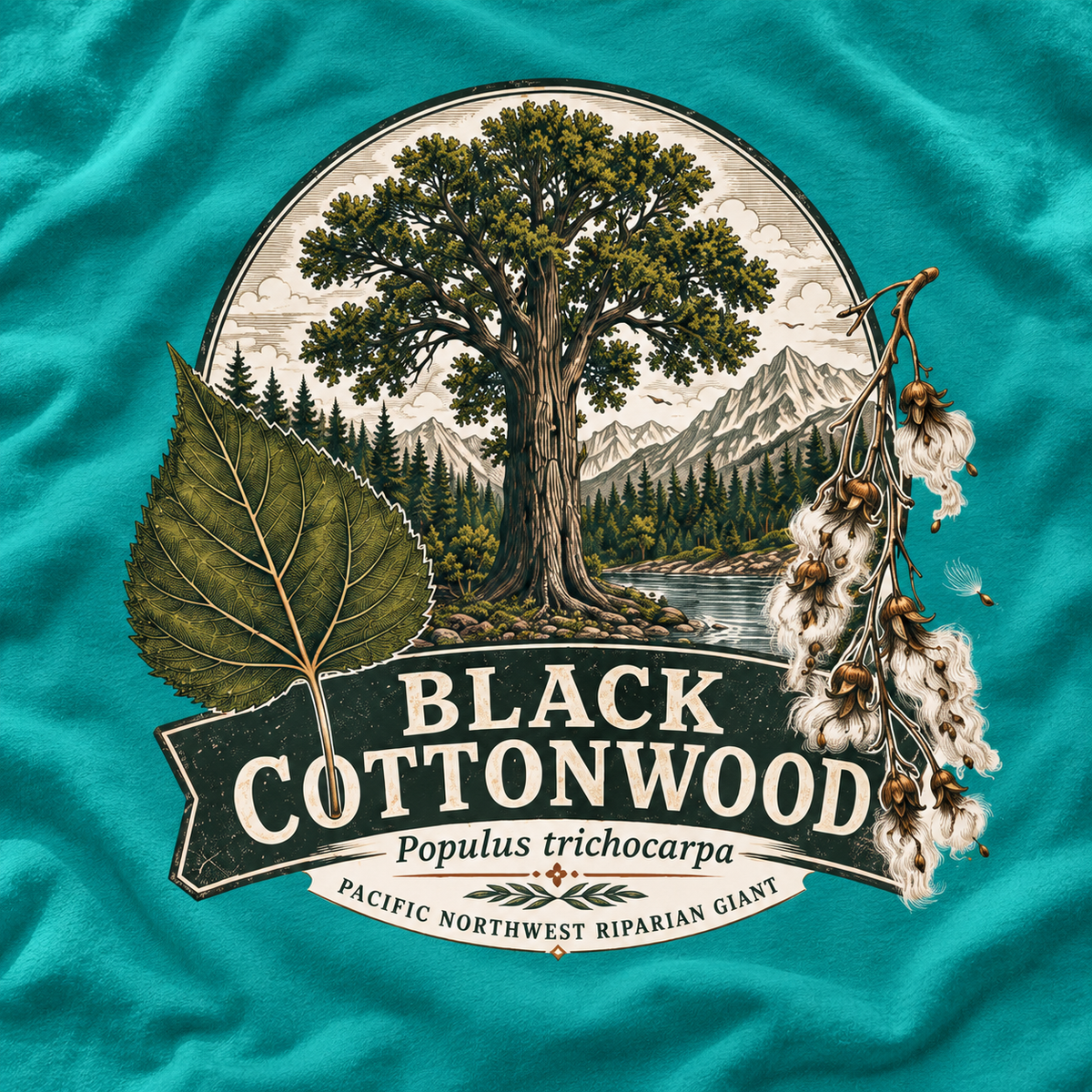 Black Cottonwood, Populus trichocarpa T‑Shirt
