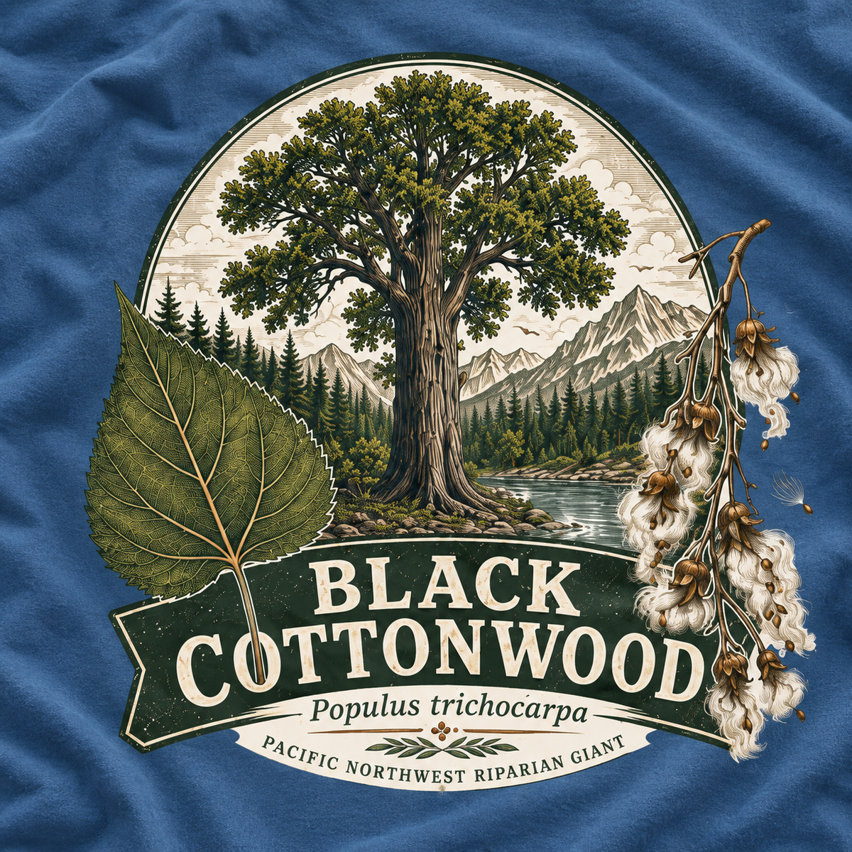 Black Cottonwood, Populus trichocarpa T‑Shirt