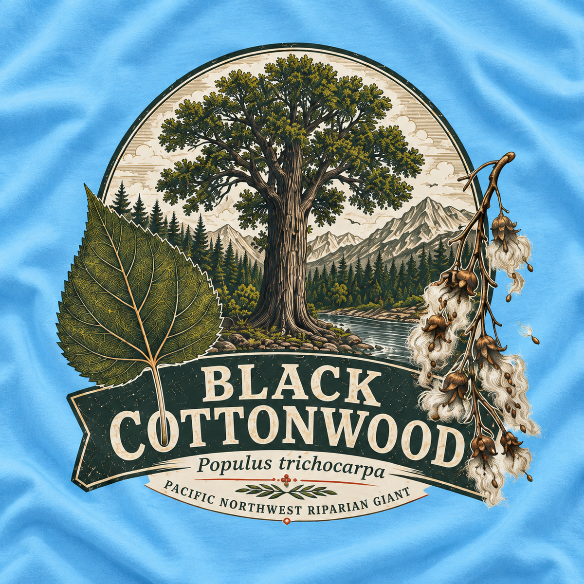 Black Cottonwood, Populus trichocarpa T‑Shirt