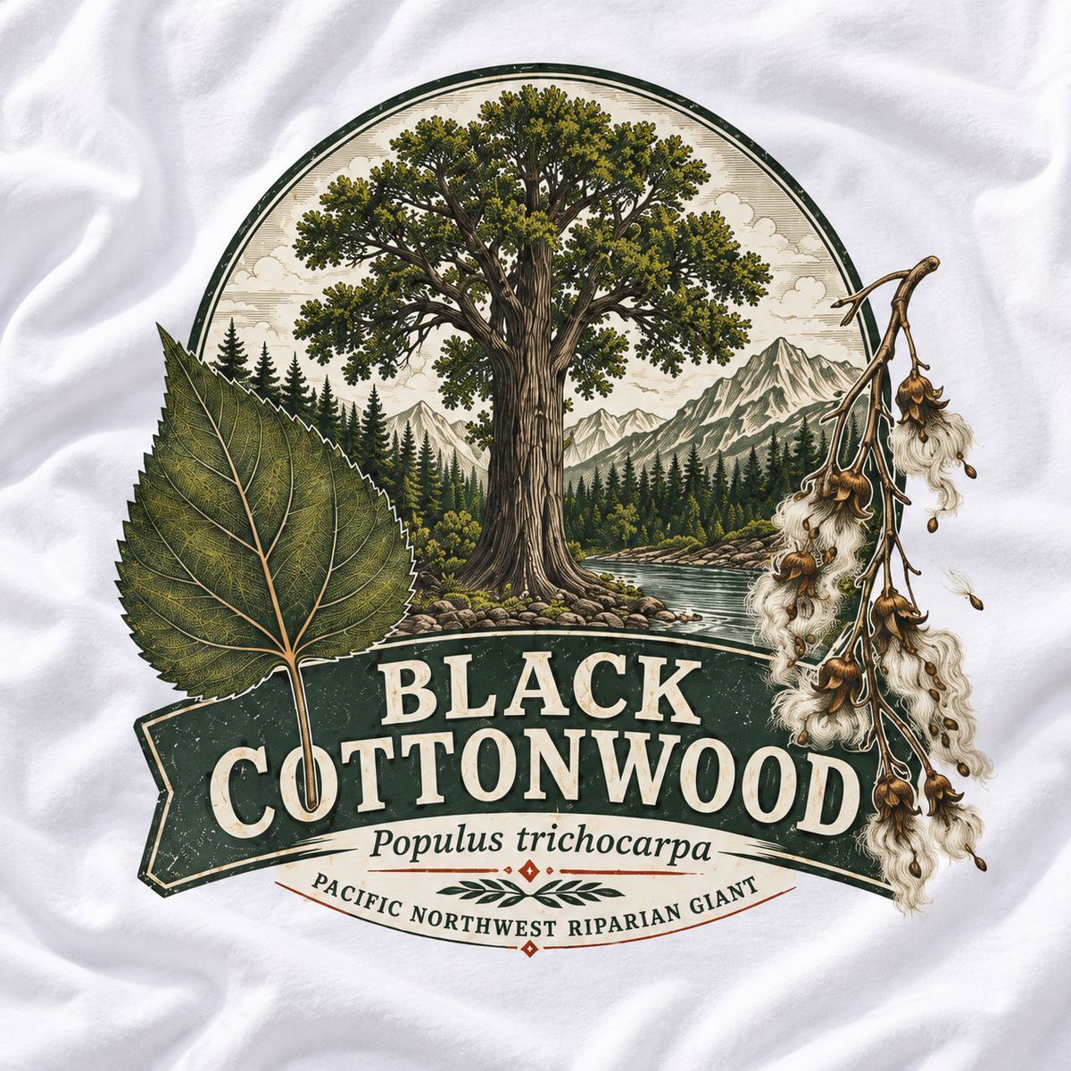 Black Cottonwood, Populus trichocarpa T‑Shirt