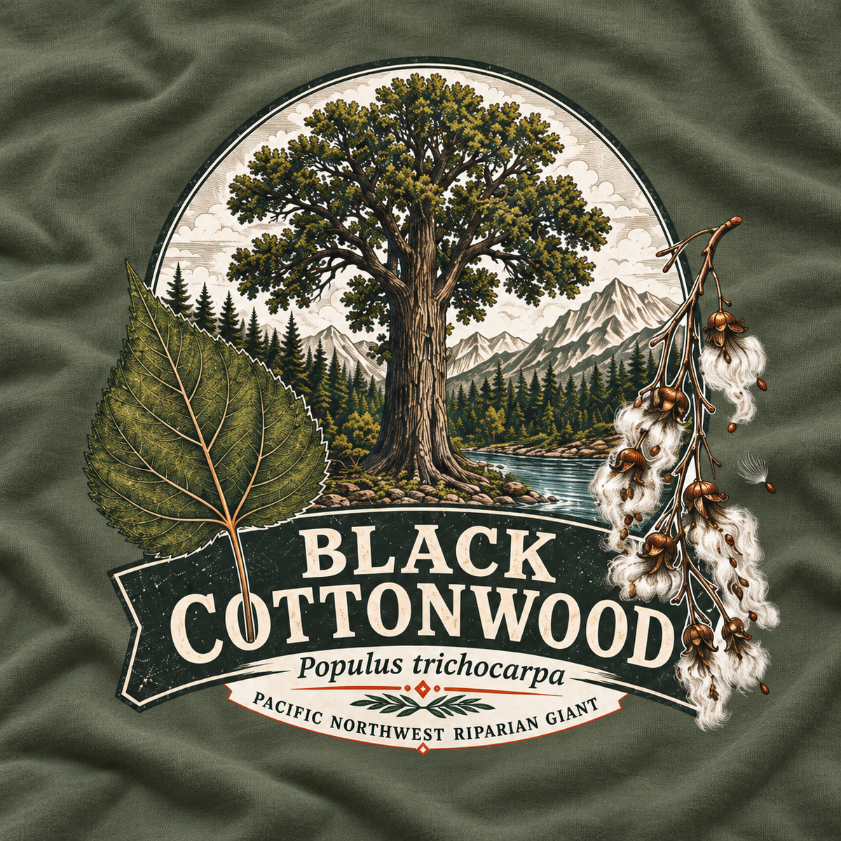 Black Cottonwood, Populus trichocarpa T‑Shirt