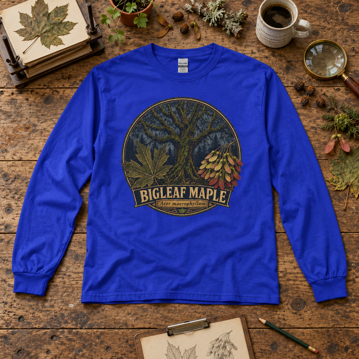 Bigleaf Maple, Acer macrophyllum Long Sleeve T-Shirt