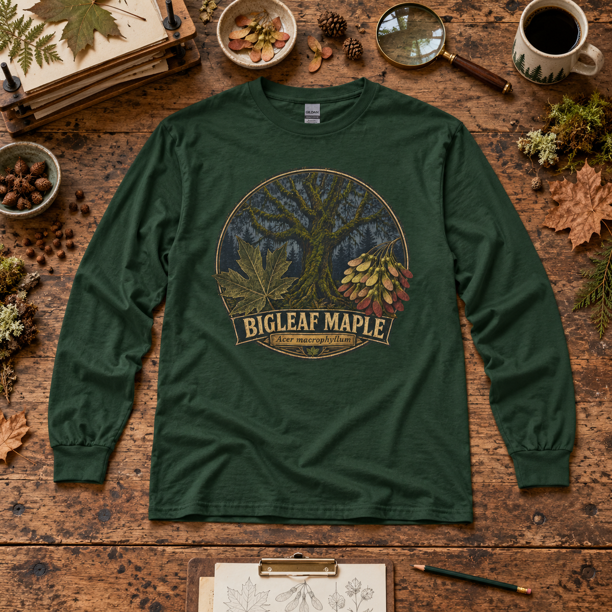 Bigleaf Maple, Acer macrophyllum Long Sleeve T-Shirt