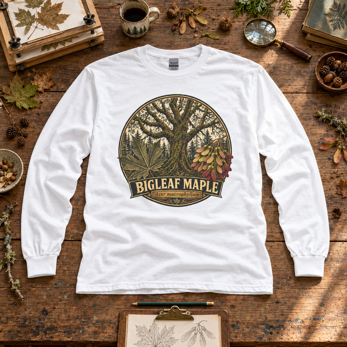 Bigleaf Maple, Acer macrophyllum Long Sleeve T-Shirt