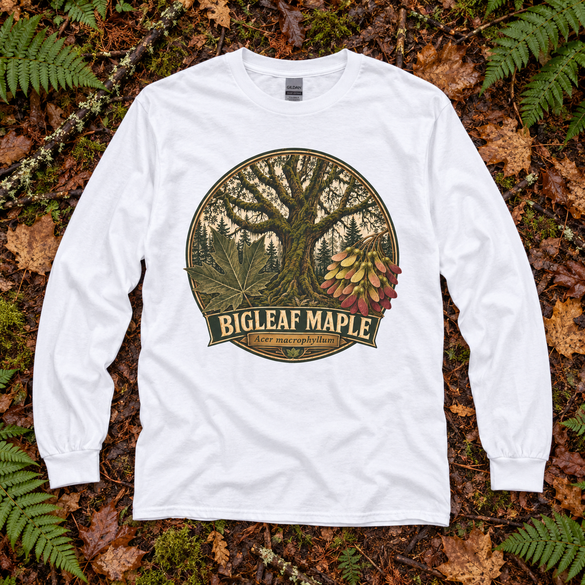 Bigleaf Maple, Acer macrophyllum Long Sleeve T-Shirt