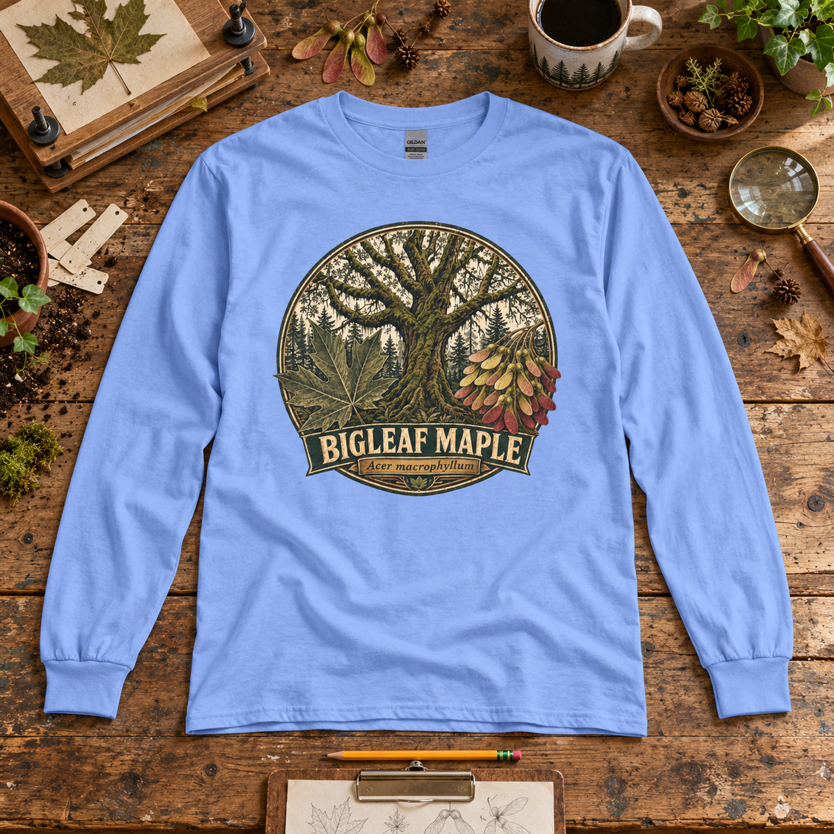 Bigleaf Maple, Acer macrophyllum Long Sleeve T-Shirt