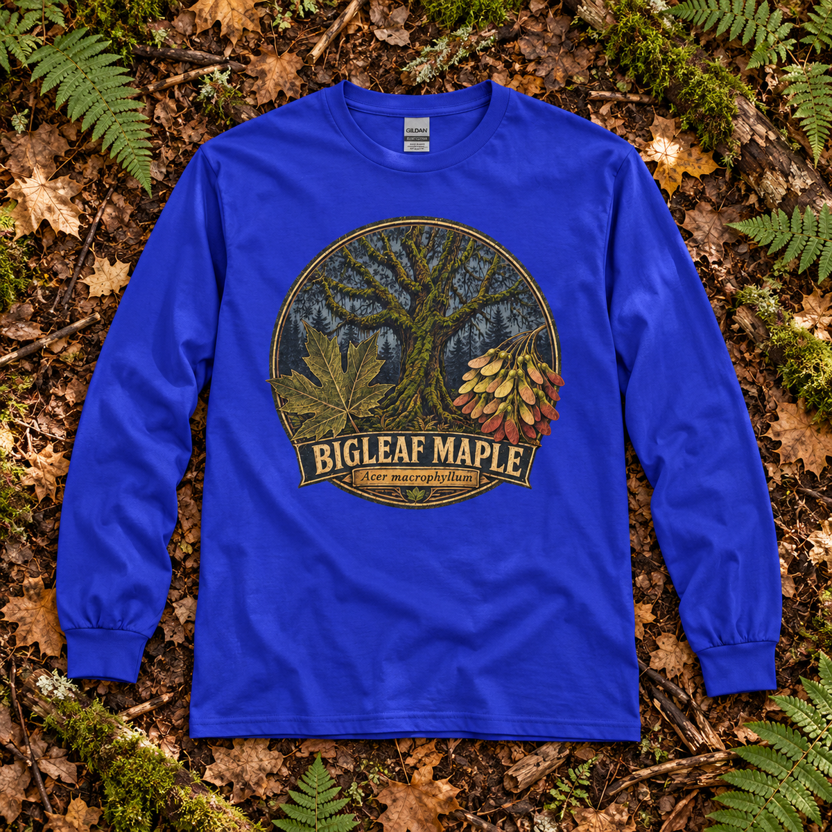 Bigleaf Maple, Acer macrophyllum Long Sleeve T-Shirt