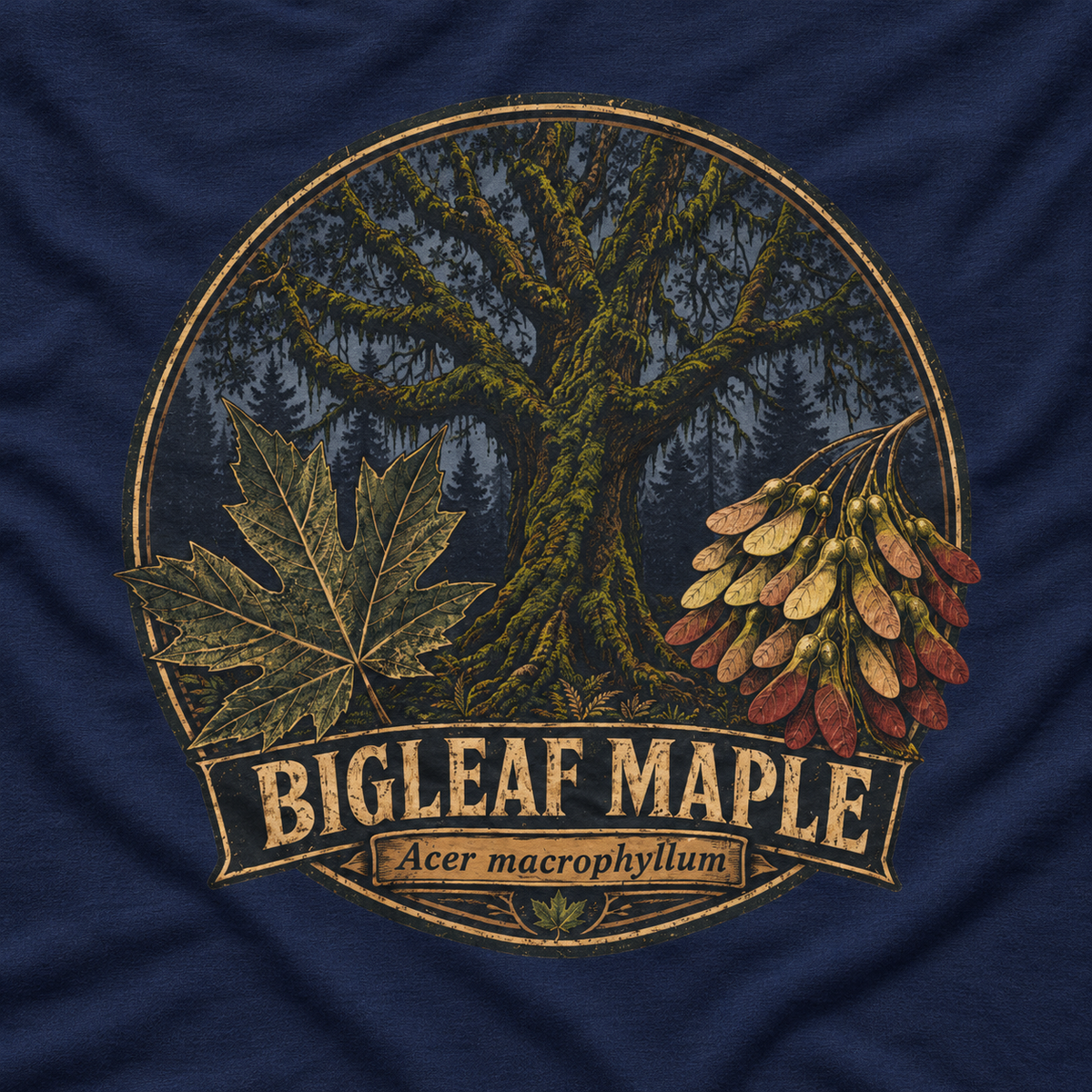 Bigleaf Maple, Acer macrophyllum Long Sleeve T-Shirt