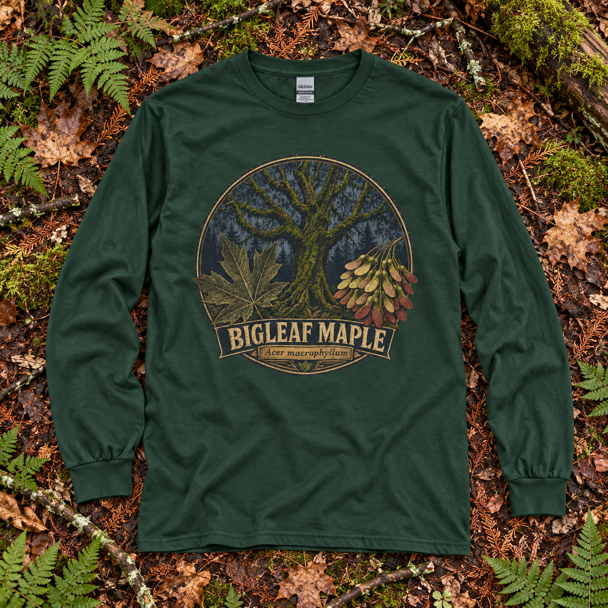 Bigleaf Maple, Acer macrophyllum Long Sleeve T-Shirt