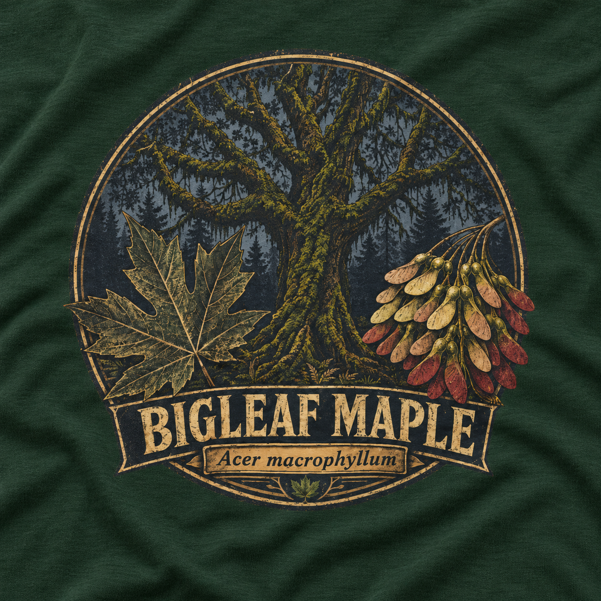Bigleaf Maple, Acer macrophyllum Long Sleeve T-Shirt