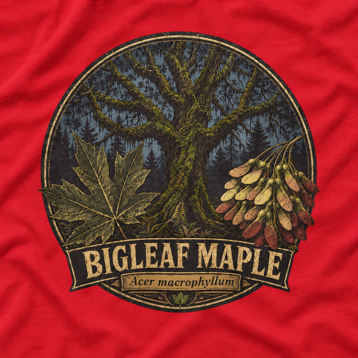 Bigleaf Maple, Acer macrophyllum Long Sleeve T-Shirt