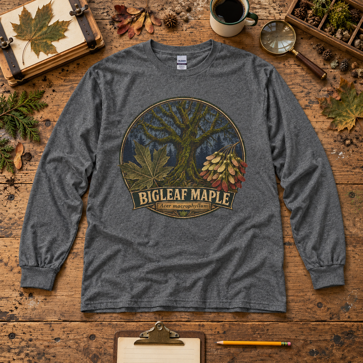 Bigleaf Maple, Acer macrophyllum Long Sleeve T-Shirt