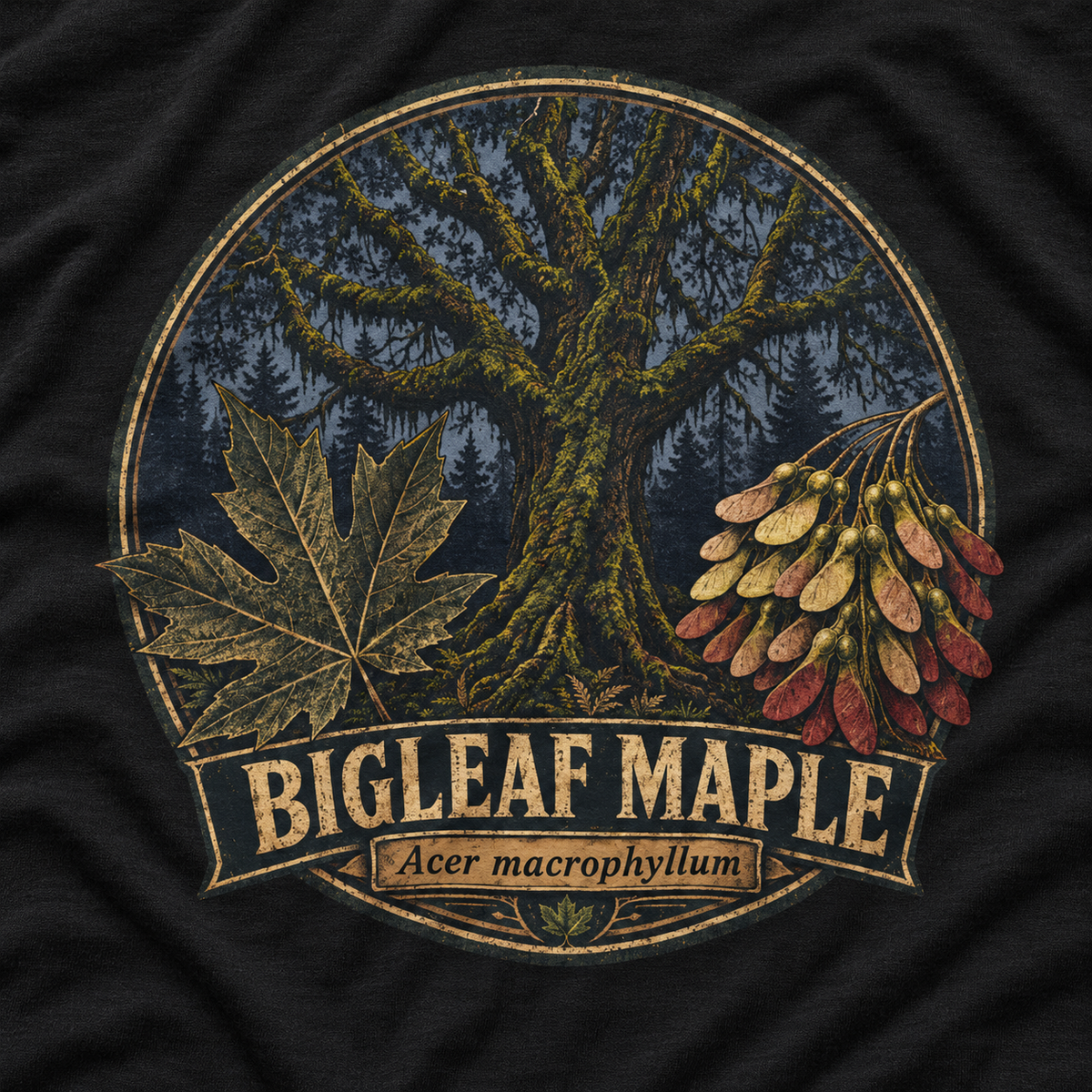 Bigleaf Maple, Acer macrophyllum Long Sleeve T-Shirt
