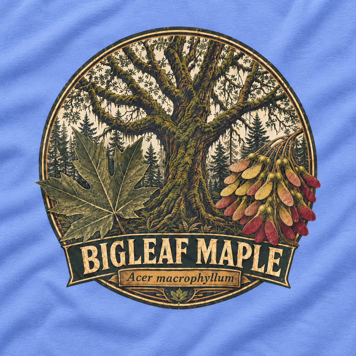 Bigleaf Maple, Acer macrophyllum Long Sleeve T-Shirt
