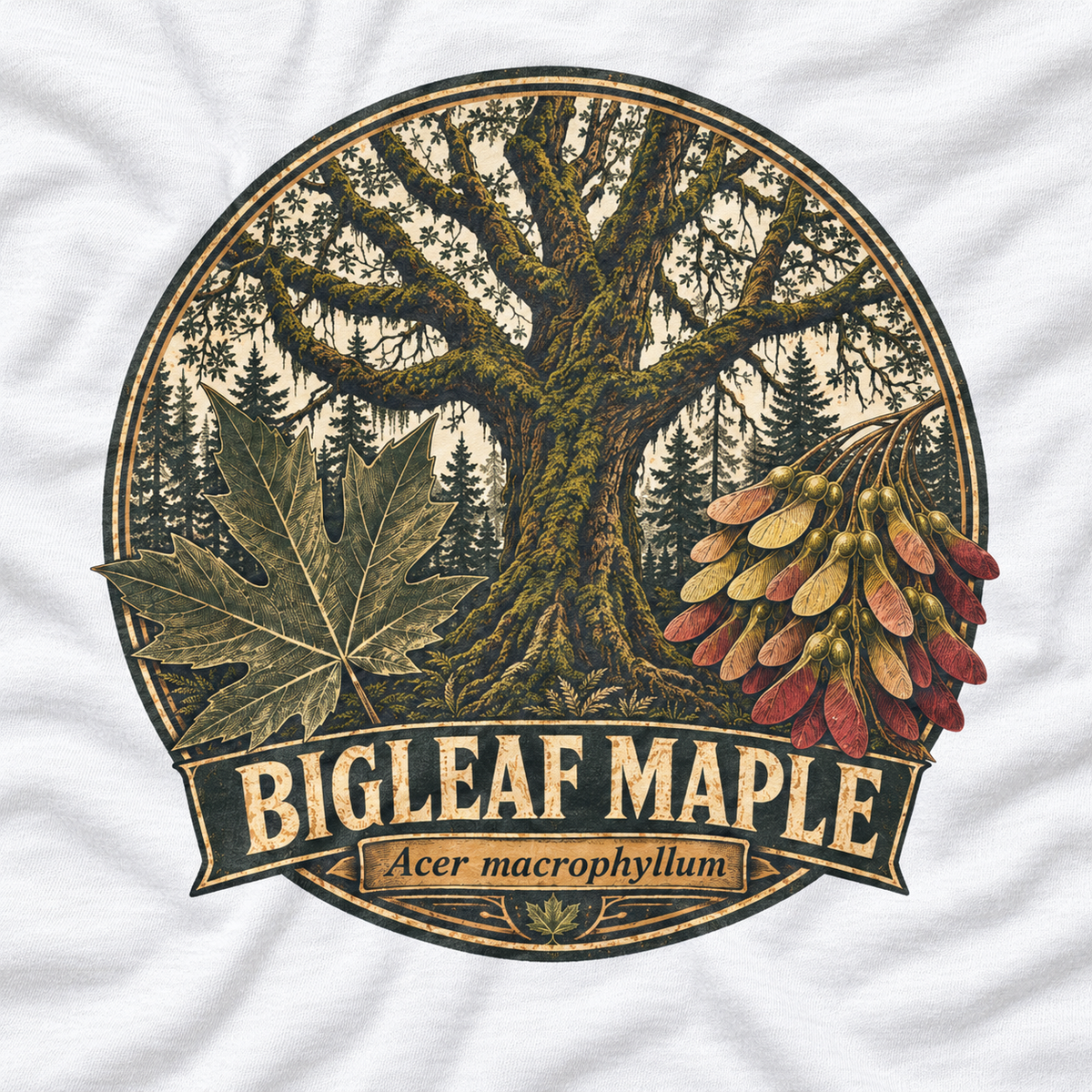 Bigleaf Maple, Acer macrophyllum Long Sleeve T-Shirt