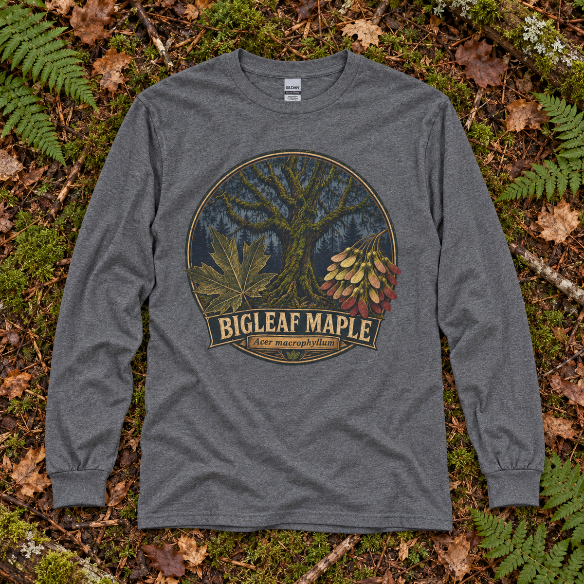 Bigleaf Maple, Acer macrophyllum Long Sleeve T-Shirt