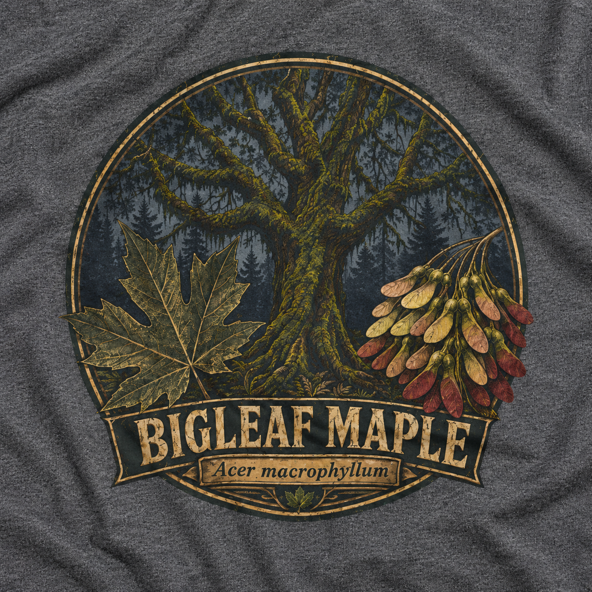 Bigleaf Maple, Acer macrophyllum Long Sleeve T-Shirt