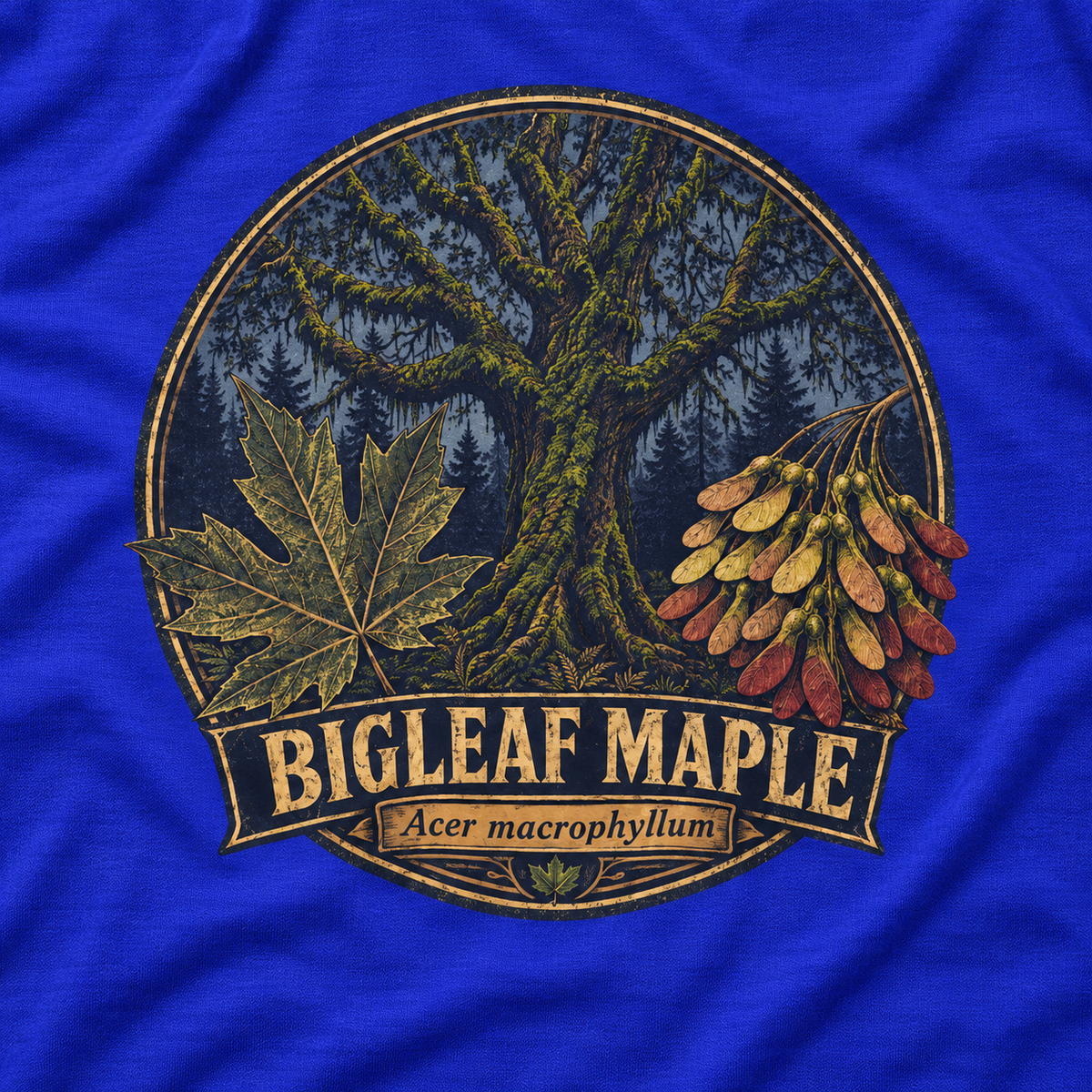 Bigleaf Maple, Acer macrophyllum Long Sleeve T-Shirt