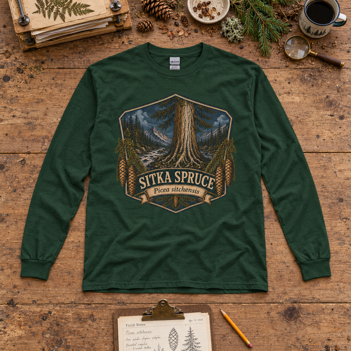 Sitka Spruce, Picea sitchensis Long Sleeve T-Shirt